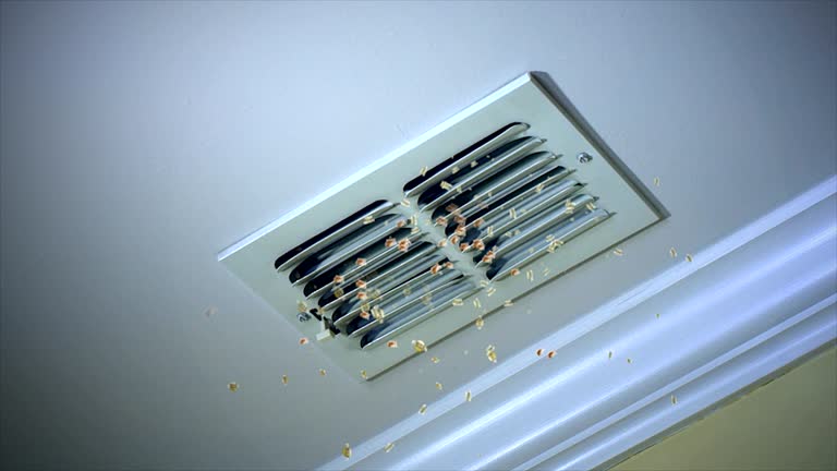 Affordable HVAC Duct Cleaning in Wilderness Rim, WA